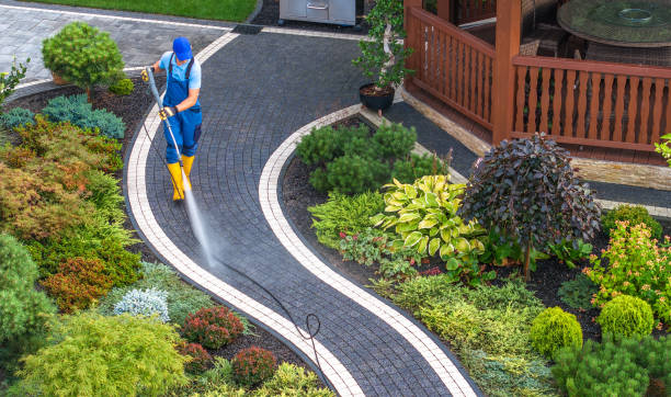 Best Pressure Washing Patio  in Shavano Park, TX